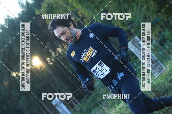 Buy your photos of the eventWolf Series - Botucatu on Fotop