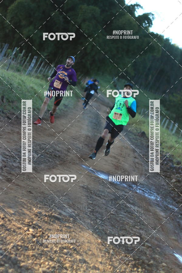 Achetez vos photos de l'vnementWolf Series - Botucatu sur Fotop