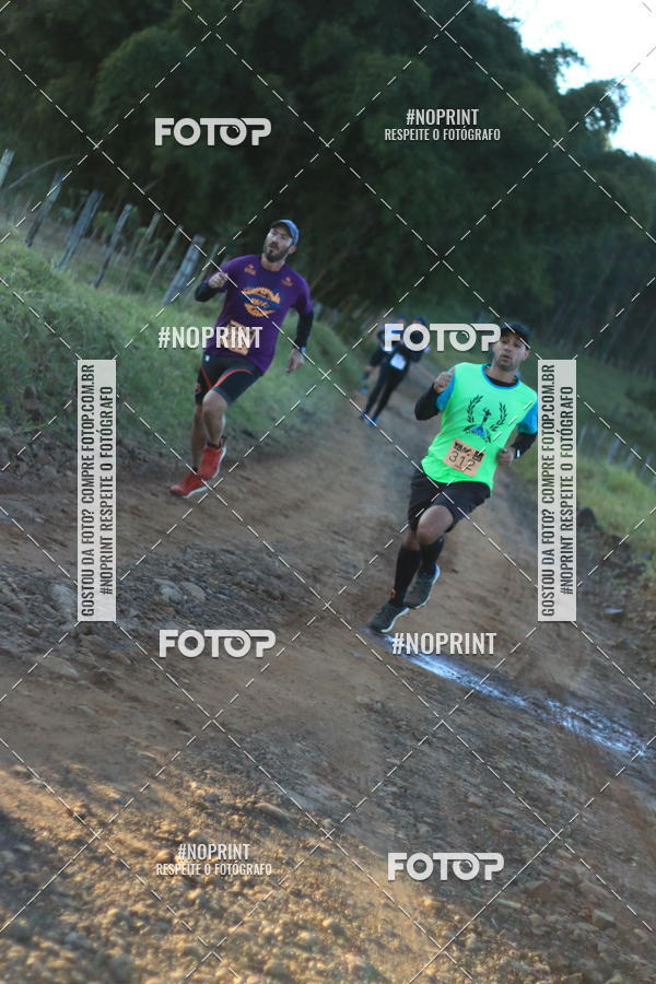 Achetez vos photos de l'vnementWolf Series - Botucatu sur Fotop