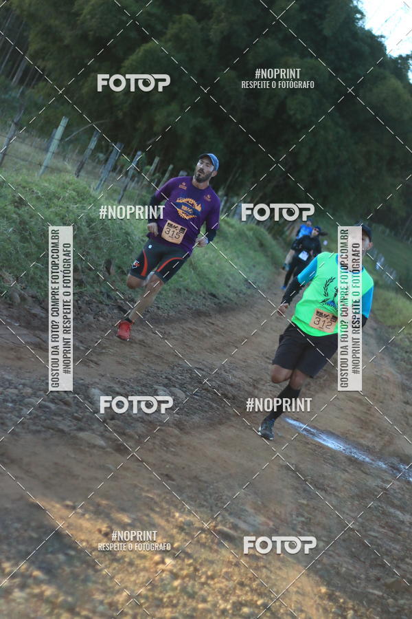 Achetez vos photos de l'vnementWolf Series - Botucatu sur Fotop