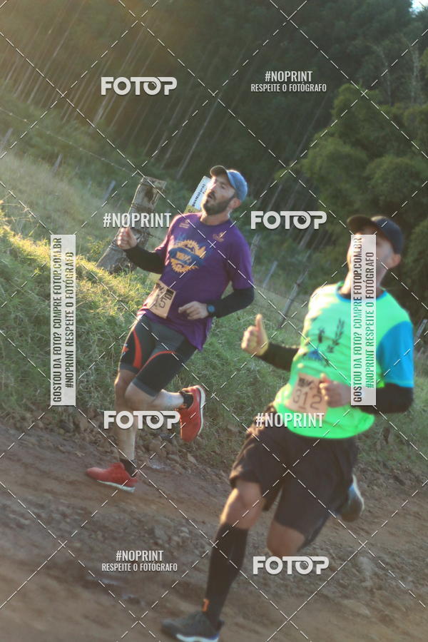 Achetez vos photos de l'vnementWolf Series - Botucatu sur Fotop