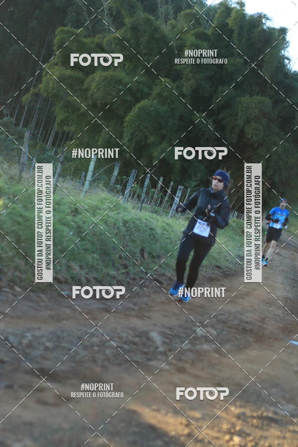 Achetez vos photos de l'vnementWolf Series - Botucatu sur Fotop