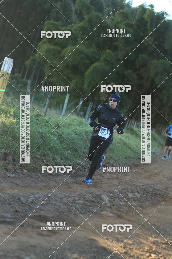 Achetez vos photos de l'vnementWolf Series - Botucatu sur Fotop