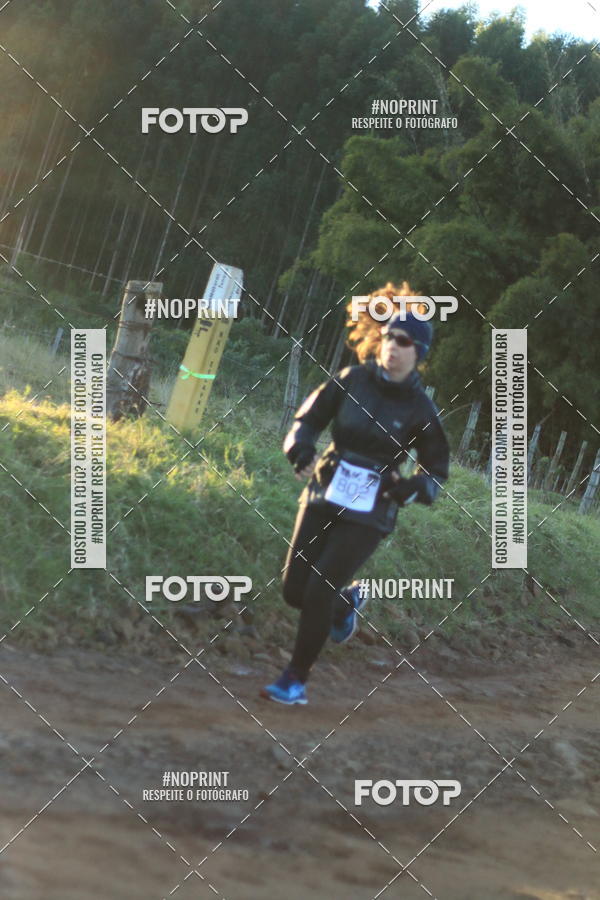 Achetez vos photos de l'vnementWolf Series - Botucatu sur Fotop