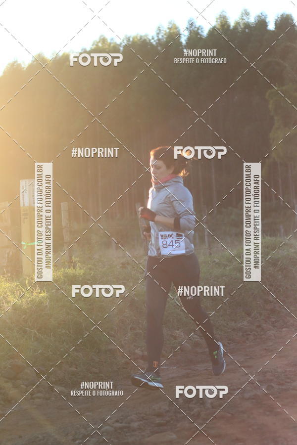 Buy your photos of the eventWolf Series - Botucatu on Fotop