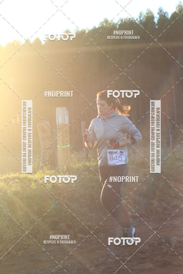 Buy your photos of the eventWolf Series - Botucatu on Fotop