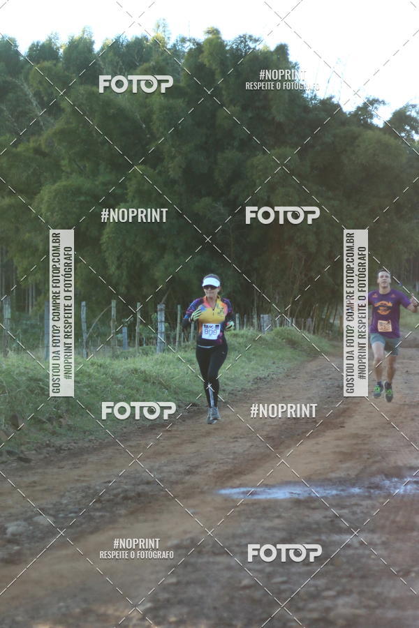 Buy your photos of the eventWolf Series - Botucatu on Fotop