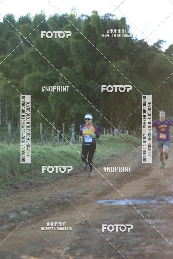 Buy your photos of the eventWolf Series - Botucatu on Fotop