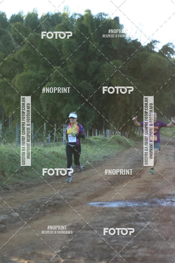 Buy your photos of the eventWolf Series - Botucatu on Fotop