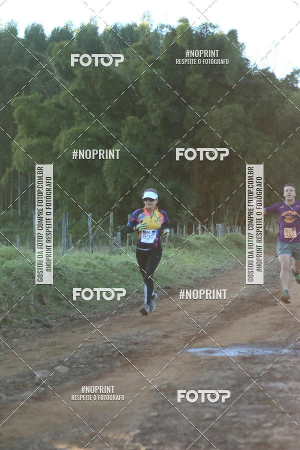 Buy your photos of the eventWolf Series - Botucatu on Fotop