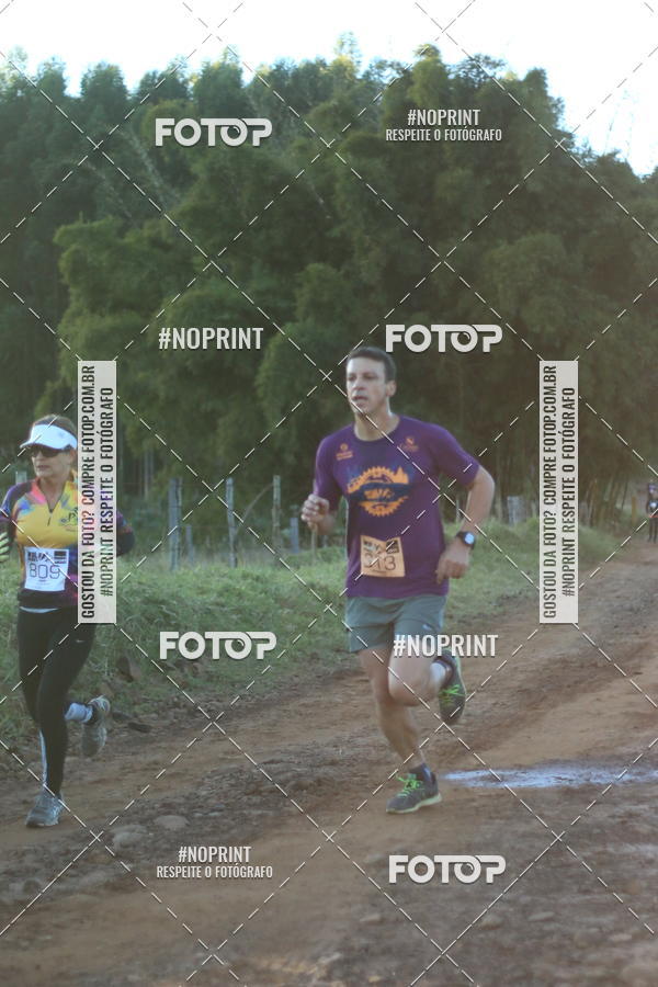 Buy your photos of the eventWolf Series - Botucatu on Fotop