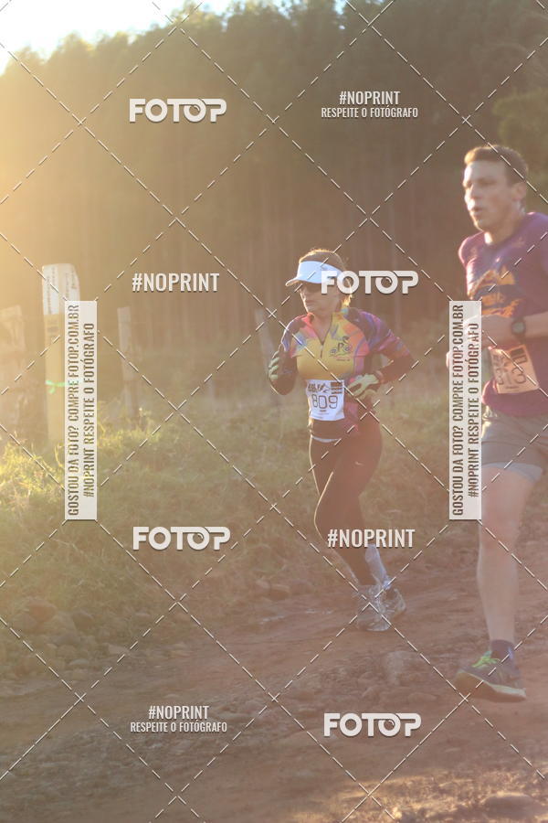 Buy your photos of the eventWolf Series - Botucatu on Fotop