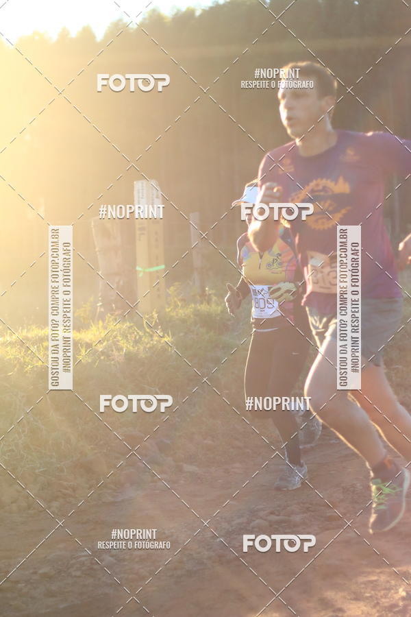 Buy your photos of the eventWolf Series - Botucatu on Fotop