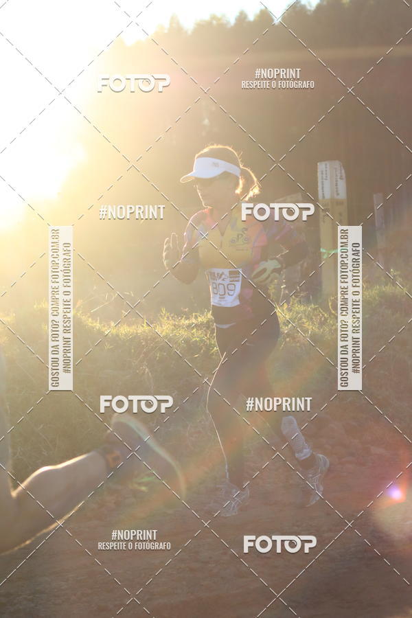 Buy your photos of the eventWolf Series - Botucatu on Fotop