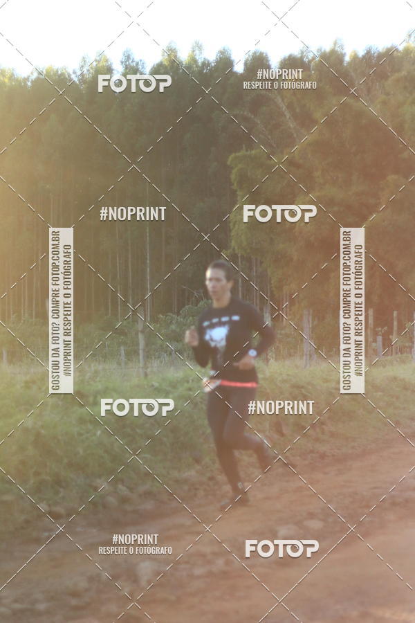 Buy your photos of the eventWolf Series - Botucatu on Fotop