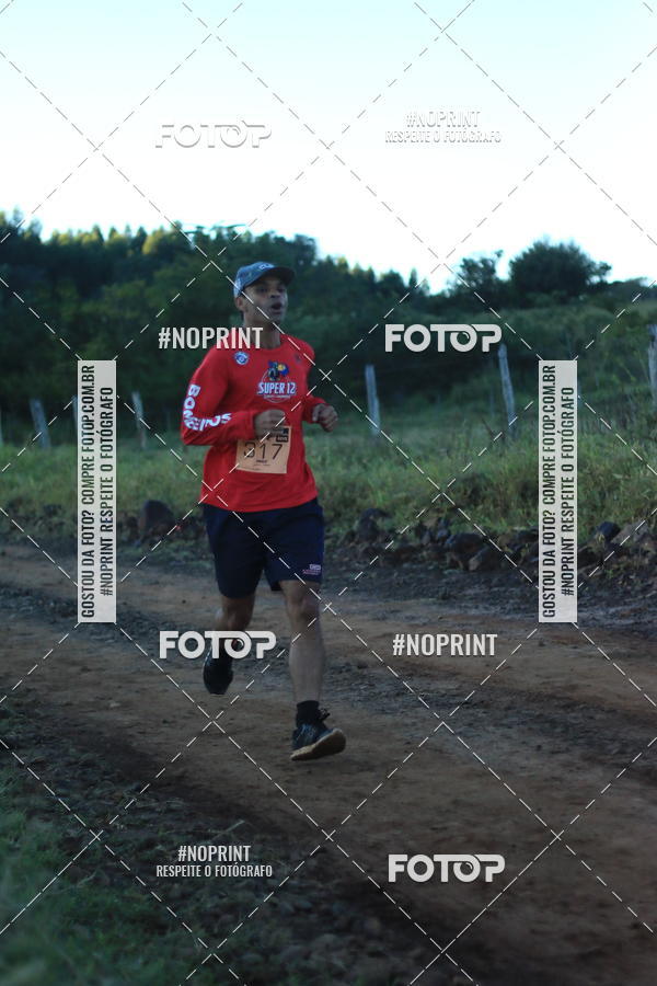 Buy your photos of the eventWolf Series - Botucatu on Fotop