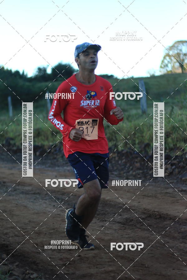 Buy your photos of the eventWolf Series - Botucatu on Fotop