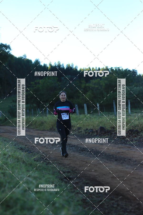 Buy your photos of the eventWolf Series - Botucatu on Fotop