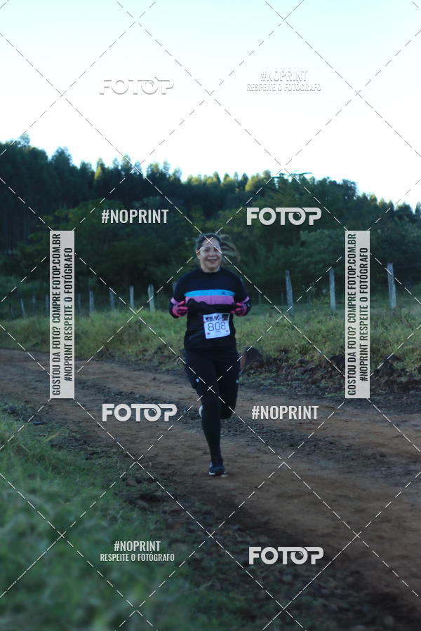 Buy your photos of the eventWolf Series - Botucatu on Fotop