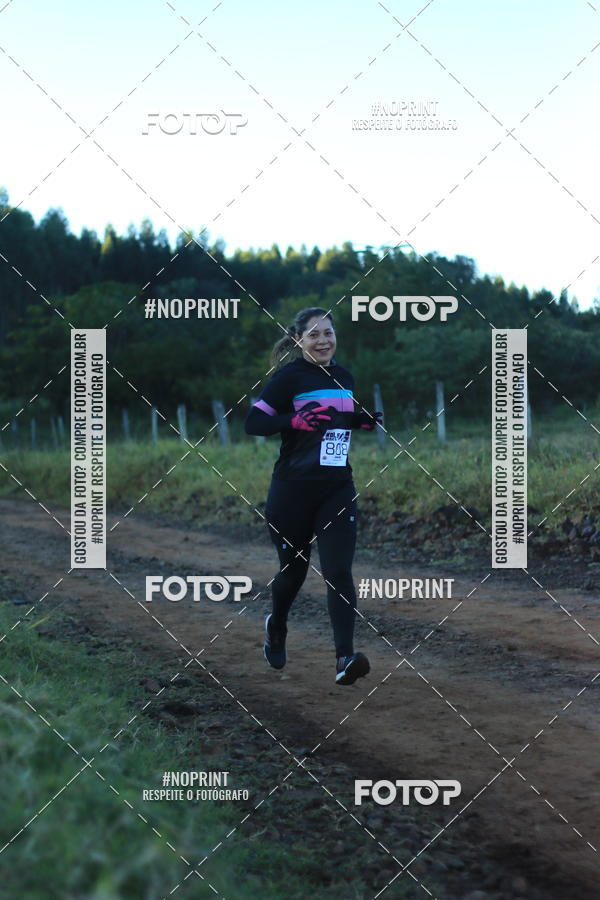 Buy your photos of the eventWolf Series - Botucatu on Fotop