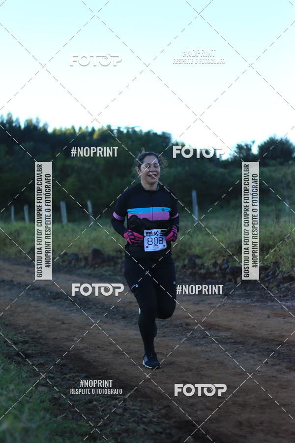 Buy your photos of the eventWolf Series - Botucatu on Fotop