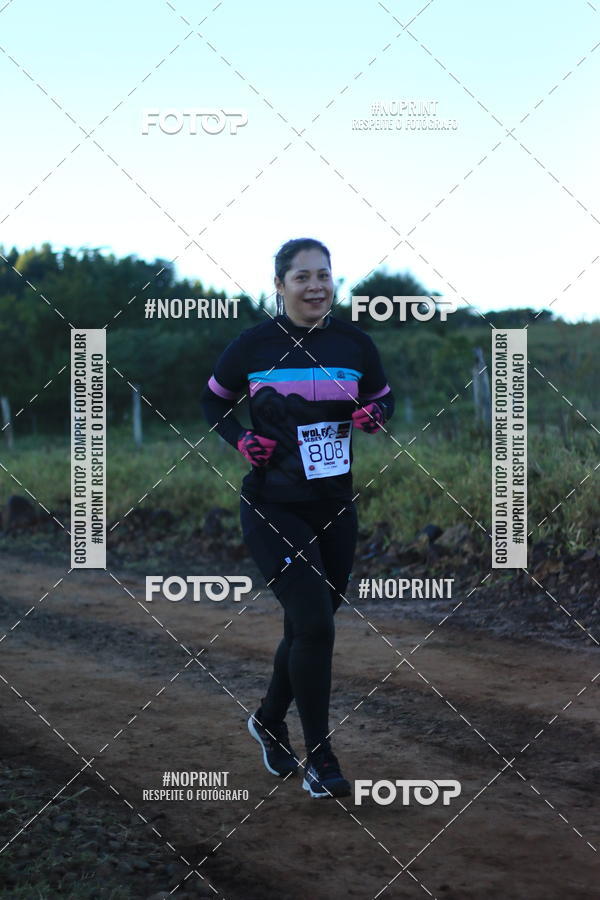 Buy your photos of the eventWolf Series - Botucatu on Fotop