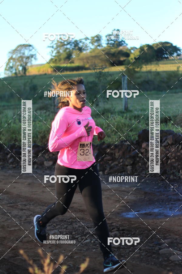 Achetez vos photos de l'vnementWolf Series - Botucatu sur Fotop