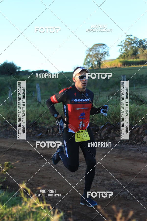 Buy your photos of the eventWolf Series - Botucatu on Fotop