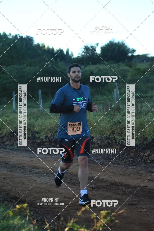 Buy your photos of the eventWolf Series - Botucatu on Fotop