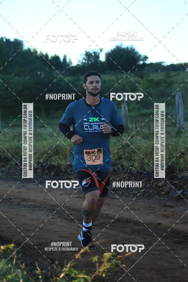 Buy your photos of the eventWolf Series - Botucatu on Fotop