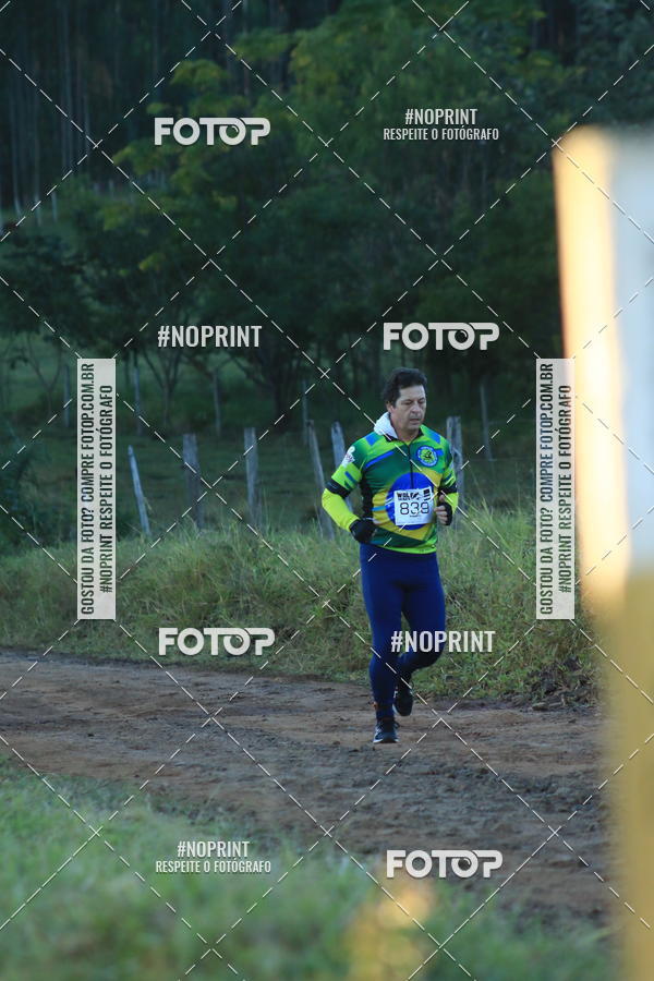 Buy your photos of the eventWolf Series - Botucatu on Fotop