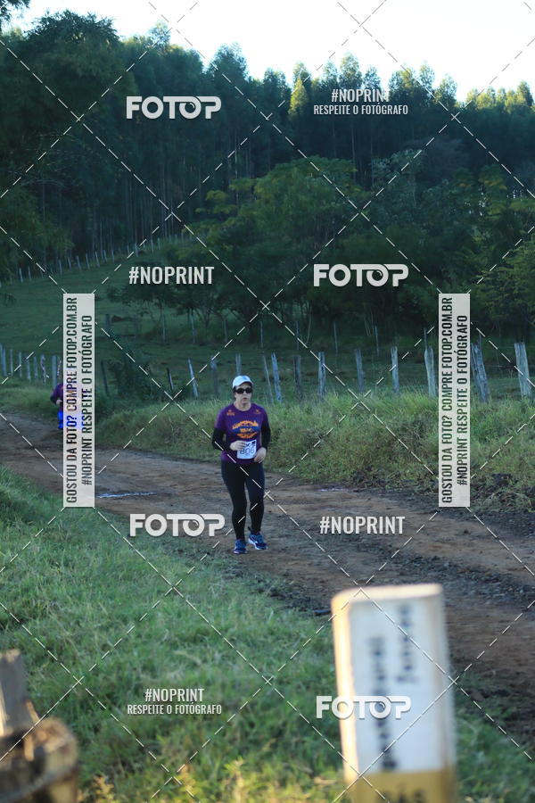 Buy your photos of the eventWolf Series - Botucatu on Fotop