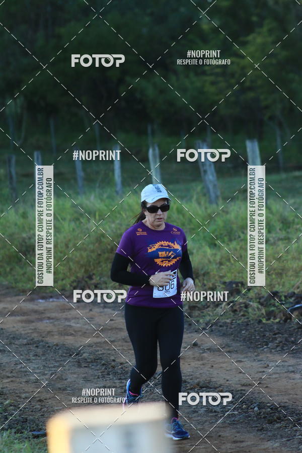 Buy your photos of the eventWolf Series - Botucatu on Fotop