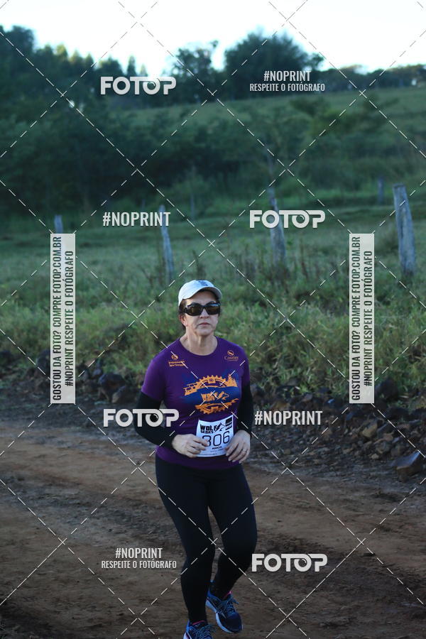 Buy your photos of the eventWolf Series - Botucatu on Fotop