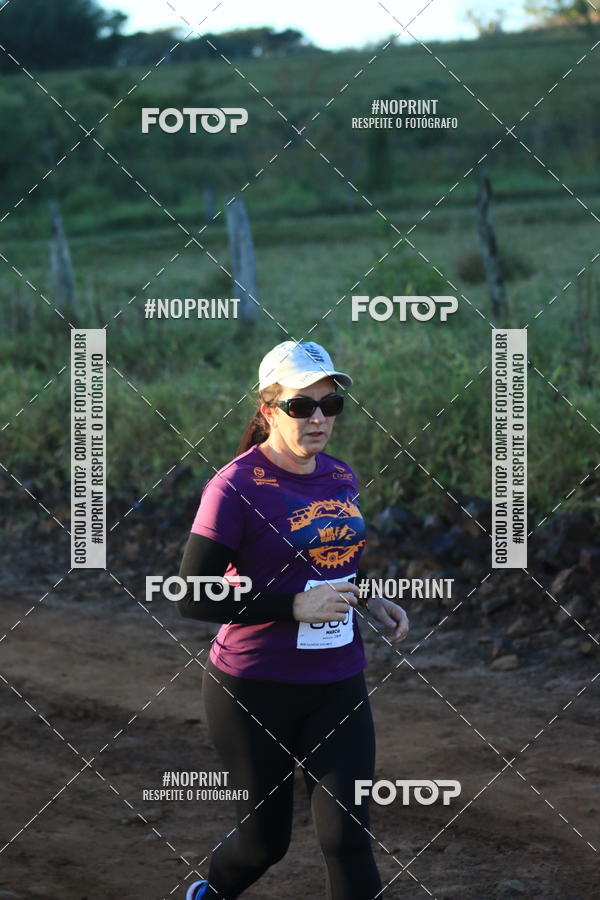 Buy your photos of the eventWolf Series - Botucatu on Fotop