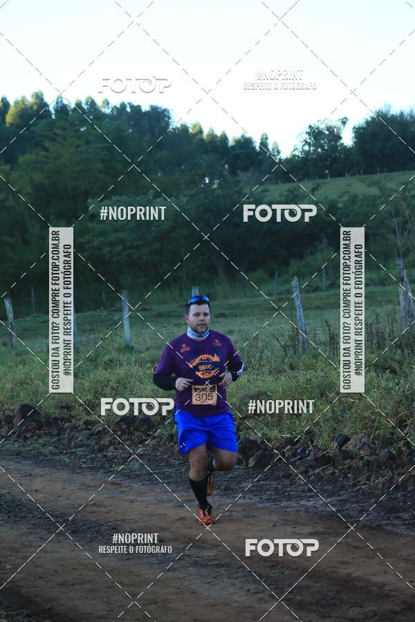 Buy your photos of the eventWolf Series - Botucatu on Fotop