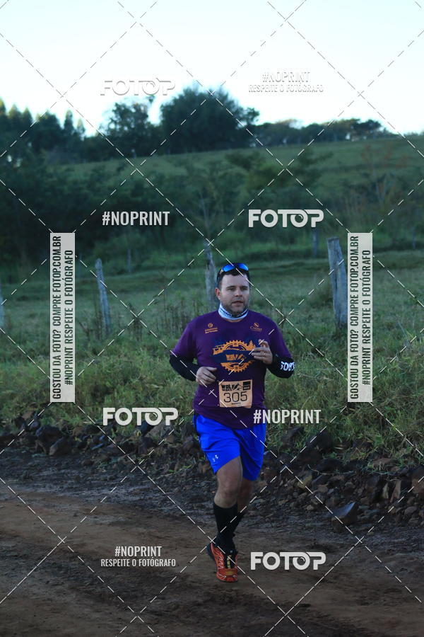 Buy your photos of the eventWolf Series - Botucatu on Fotop