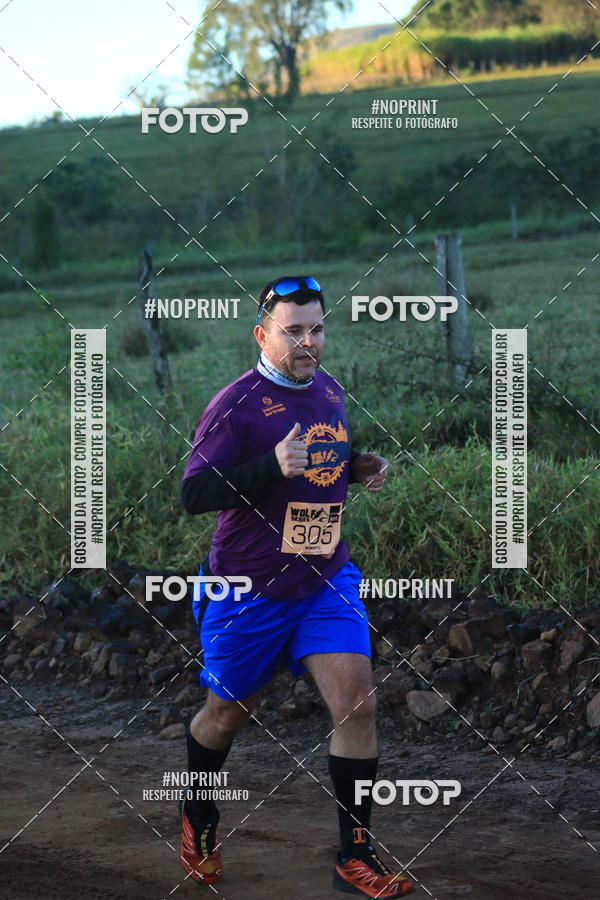 Buy your photos of the eventWolf Series - Botucatu on Fotop