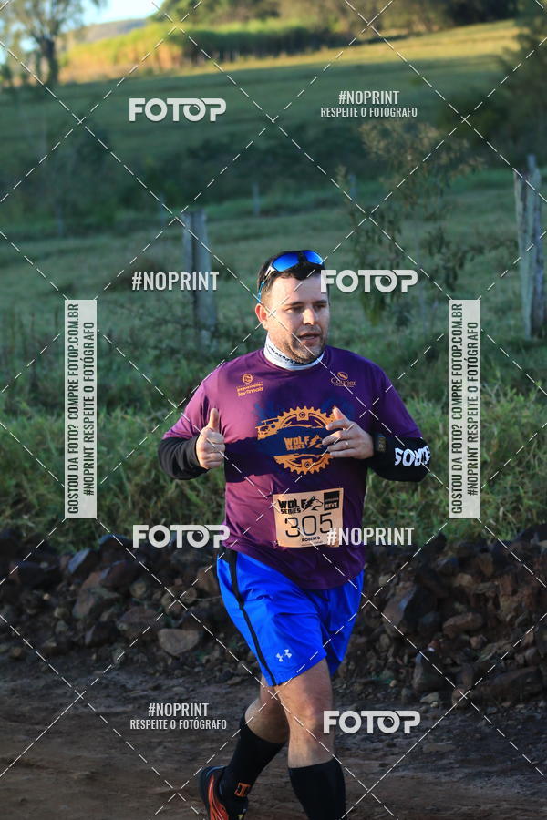 Buy your photos of the eventWolf Series - Botucatu on Fotop