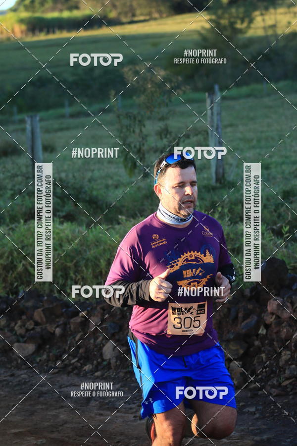 Buy your photos of the eventWolf Series - Botucatu on Fotop