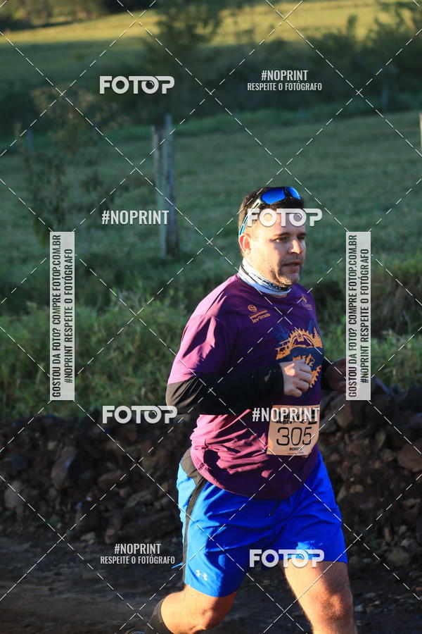 Buy your photos of the eventWolf Series - Botucatu on Fotop