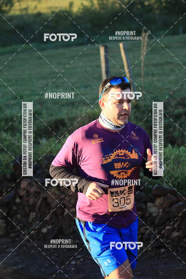 Buy your photos of the eventWolf Series - Botucatu on Fotop