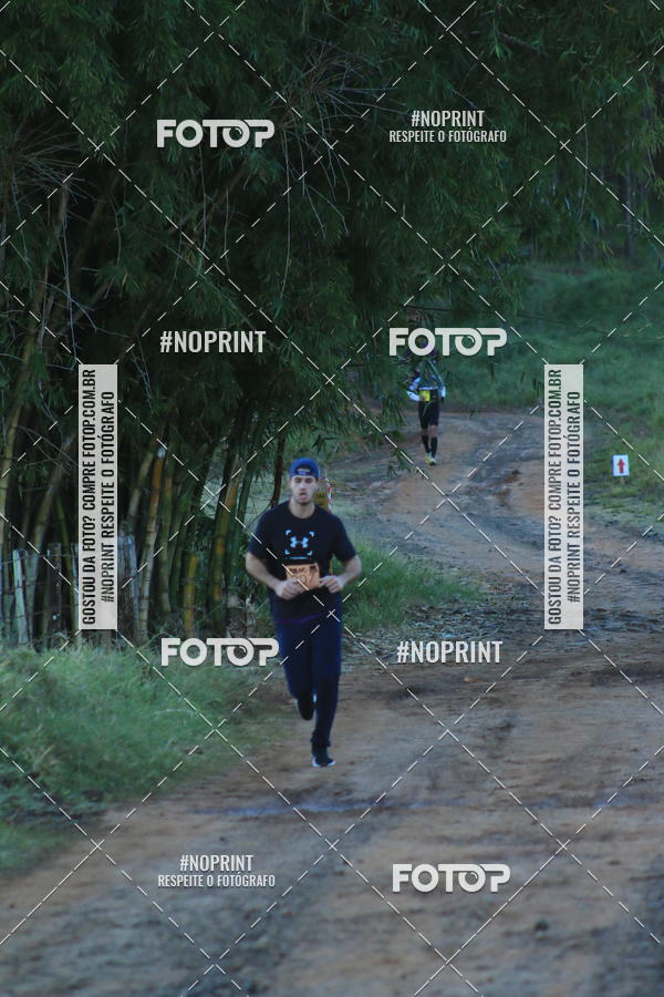 Buy your photos of the eventWolf Series - Botucatu on Fotop