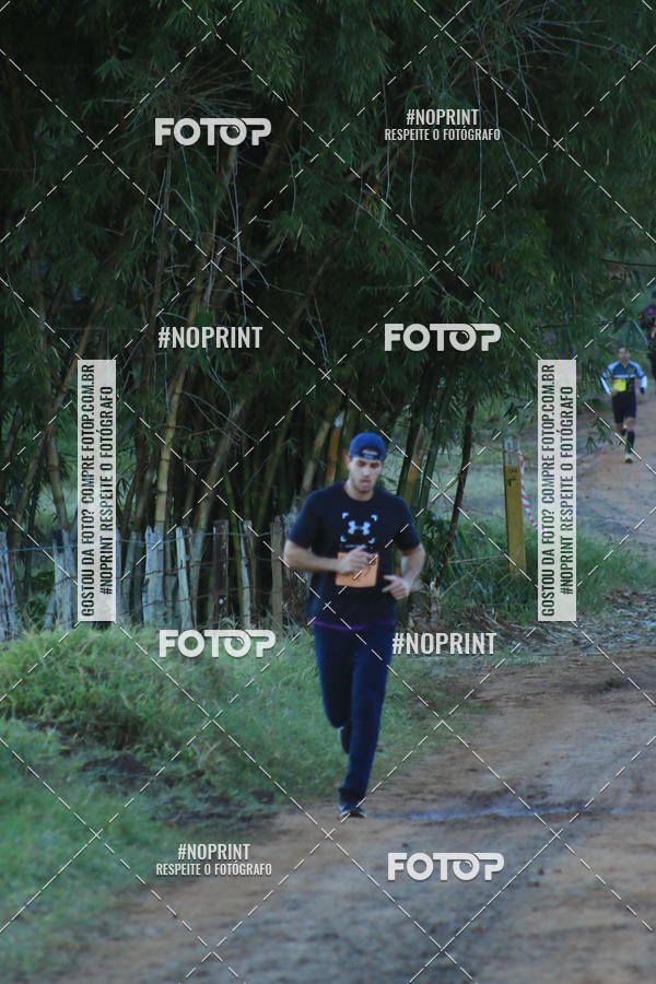 Buy your photos of the eventWolf Series - Botucatu on Fotop