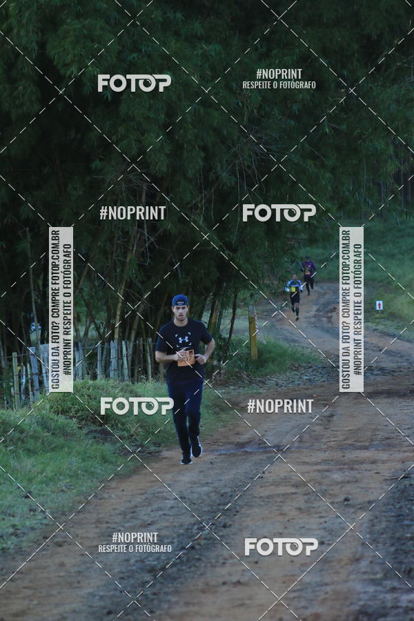 Buy your photos of the eventWolf Series - Botucatu on Fotop