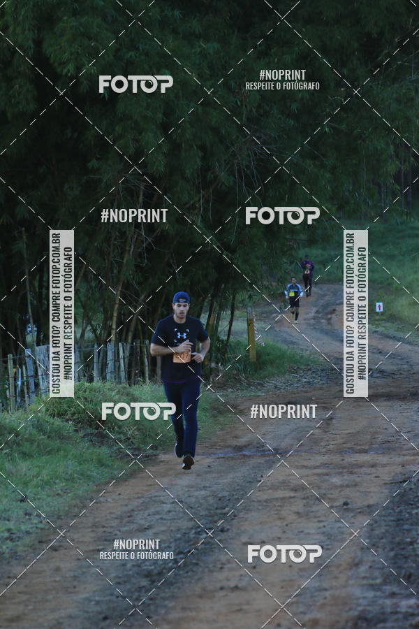 Buy your photos of the eventWolf Series - Botucatu on Fotop