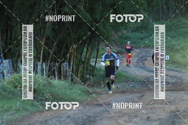 Buy your photos of the eventWolf Series - Botucatu on Fotop