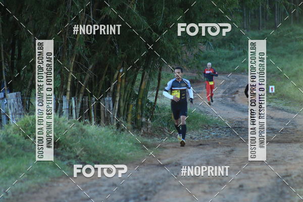 Buy your photos of the eventWolf Series - Botucatu on Fotop