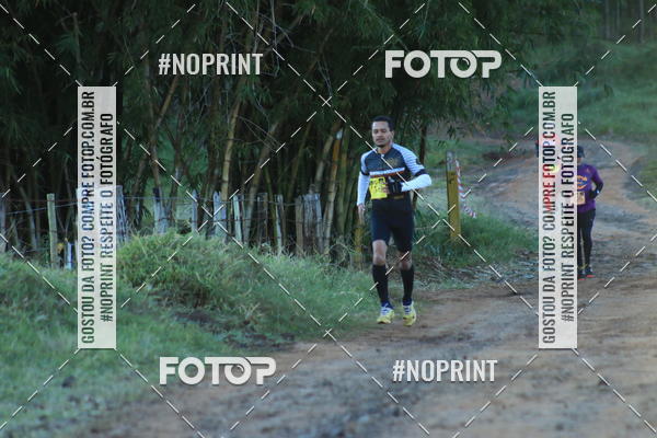 Buy your photos of the eventWolf Series - Botucatu on Fotop