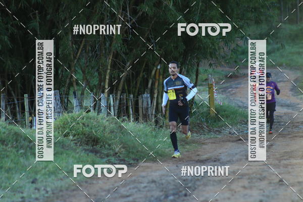 Buy your photos of the eventWolf Series - Botucatu on Fotop